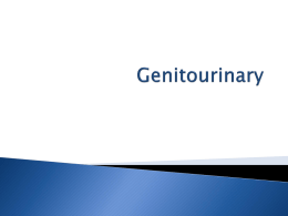 Genitourinary Dysfunction