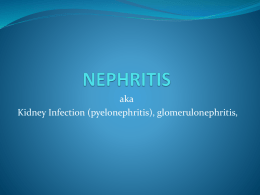 NEPHRITIS