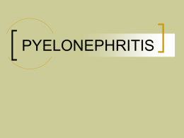 Chronic Pyelonephritis