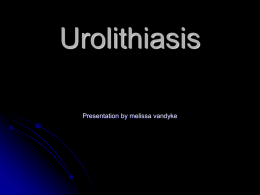 Urolithiasis - Labmongers2