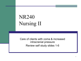 NR40 Nursing II