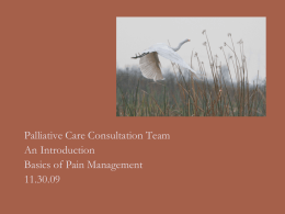 Palliative Care Consultation Team