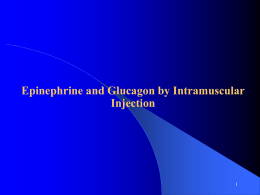 Epinephrine and Glucagon by Intramuscular