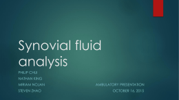Synovial fluid analysis - Department of Medicine