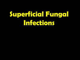 Dermatophyte fungal infections