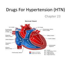 Drugs For Hypertension