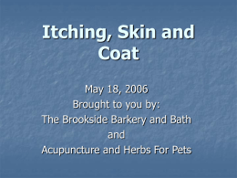 Itching, Skin and Coat