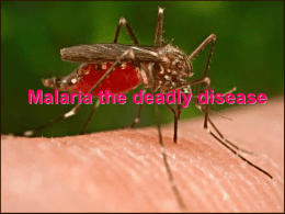 Malaria the deadly disease