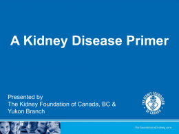 Prevention - The Kidney Foundation of Canada