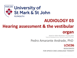 Audiology 3 File