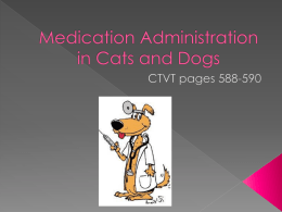 Parenteral Administration of Medication in Small