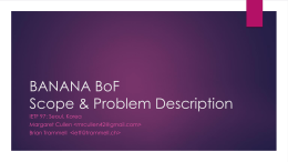 BANANA BoF BANdwith Aggregation for Network Access