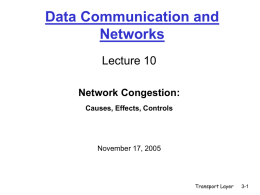 Network Congestion