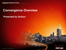 Verizon Enterprise Solutions Group