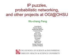 IP puzzles probabilistic networking and other projects at