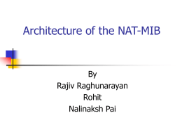 Architecture of the NAT-MIB
