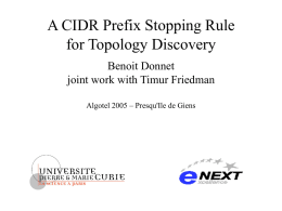 A CIDR Prefix Stopping Rule for Topology Discovery