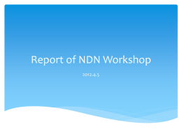 Summary of NDN Workshop