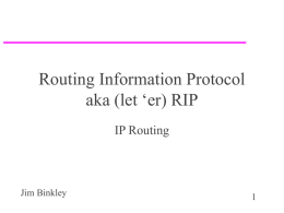 tcp/ip routing protocols, rip., etc