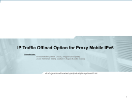 IP Traffic Offload Option for Proxy Mobile IPv6