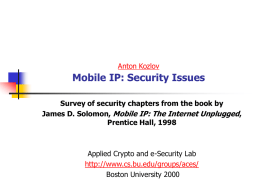 Mobile IP: General Security Issues
