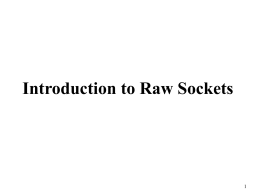 Introduction to Raw Sockets