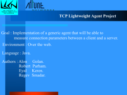 TCP Lightweight Agent Project