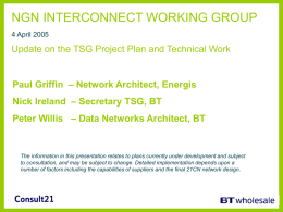 interconnect working group 28 january 2005