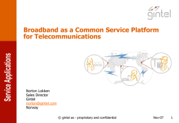 Broadband as a Common Service Platform for
