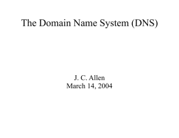 The Domain Name System (DNS)