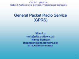 General Packet Radio Service (GPRS) Miao Lu (2705914) Nancy