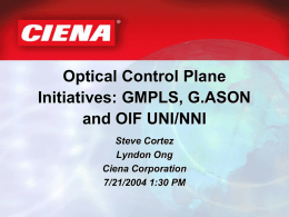 Optical Control Plane Protocols