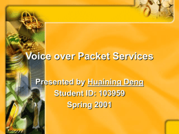 Voice over Packet Services