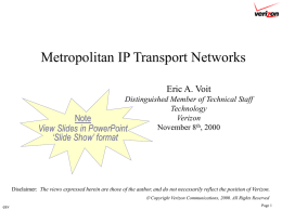 Metropolitan IP Networks