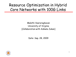 Resource Optimization in Hybrid Core Networks with 100G Links