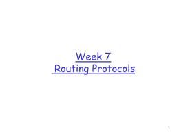 IP Routing Protocols, BGP, Longest Prefix Match
