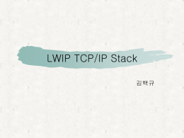 LWIP TCP/IP Stack