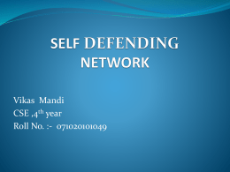 Self Defending Networks Report.pdf