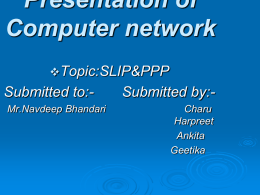 SLIP&PPP - W3Professors