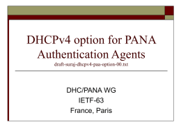 DHCPv4 option for PANA Authentication Agents