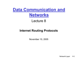 Internet Routing Protocols