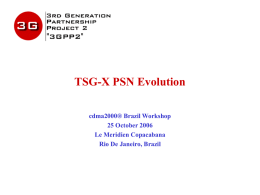 X30-20060911-017 PSN TEF charts for Brazil Workshop