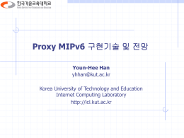 PMIPv6 Features - LINK@KoreaTech