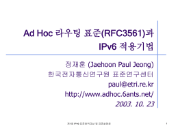 Ad hoc routing protocols