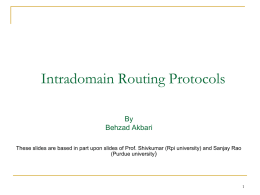 Intradomain routing protocols