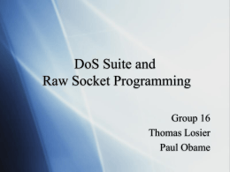DoS Suite and Raw Socket Programming