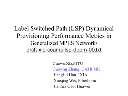 Label Switched Path (LSP) Dynamical Provisioning Performance