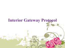 Interior gateway protocol