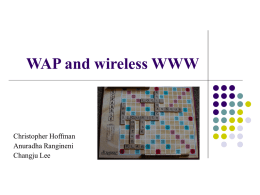 Wireless Application Protocols (WAP)
