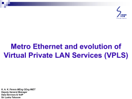Metro Ethernet Services